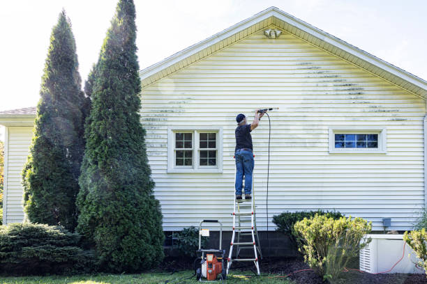 Best Dumpster Area Cleaning  in Waelder, TX